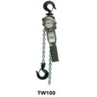 TW100