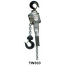 TW300