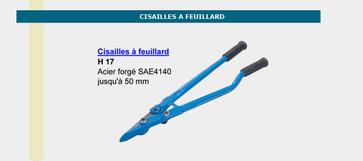 Informations technique de H 17